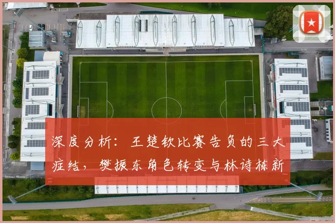 深度分析：王楚钦比赛告负的三大症结，樊振东角色转变与林诗栋新机遇